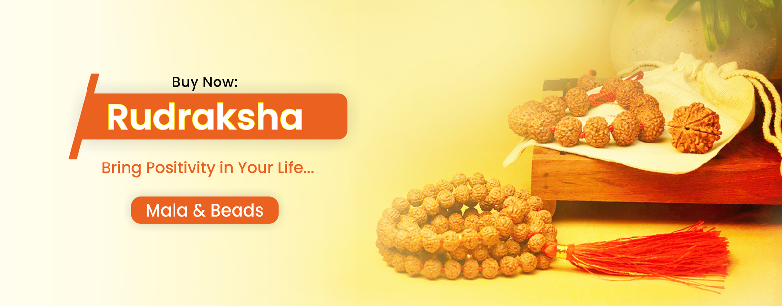 Rudraksha - Astro Rishi Muni